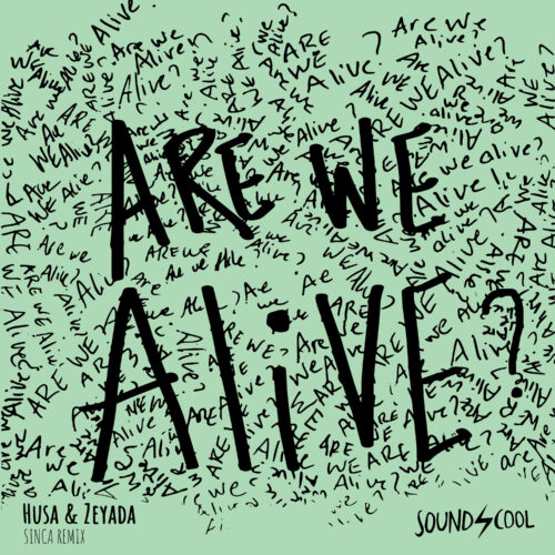 Sinca Delivers Sensational Official Remix of Are We Alive for Husa & Zeyada